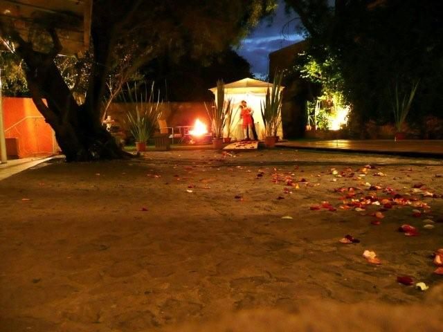 ALFOMBRA DE PETALOS